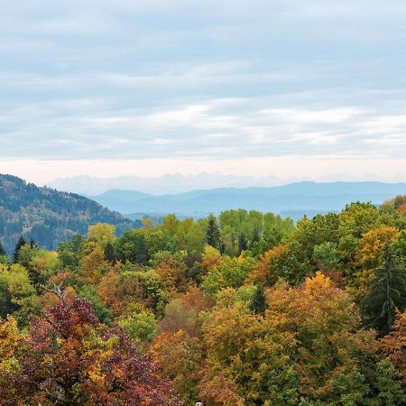 Apartment On The Edge Of The Forest Kleines Wiesental Exterior foto